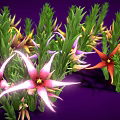 Vibrant Plants With Green Leaves And Colorful Flowers Including Pink Purple Red And Yellow Blooms