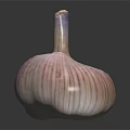 Fresh Garlic Vegetable Bulb With Purple Stripes On Reflective Black Surface