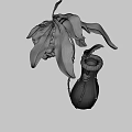 3D Model of Pitcher Plant With Green Leaves Red Striped Pitcher And Yellow Light