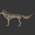 Two Gray Wolves With Red Markings Standing On Reflective Gray Surface
