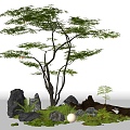 Modern red maple landscape tree courtyard sketch courtyard arbor maple moss micro-terrain stone 3d model