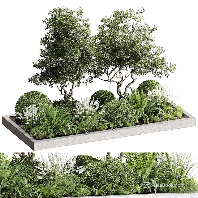 Rectangular Planter Box With Mixed Trees Bushes Ferns And White Flowers 3d model 