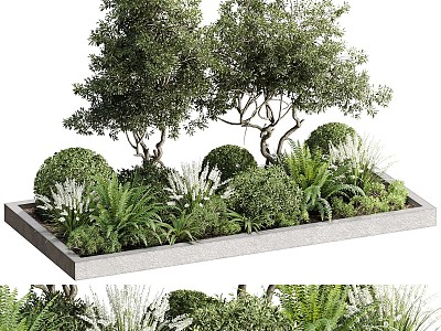 Modern Other Plants Outdoor Landscape Garden Backyard 3d model