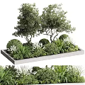 Rectangular Planter Box With Mixed Trees Bushes Ferns And White Flowers 3d model