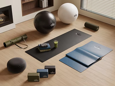 Adidas Yoga Equipment Collection Including Balls Mats Foam Roller Blocks And Accessories 3d model