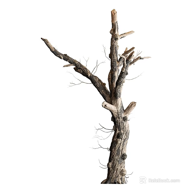 Dry Tree Trunk With Bare Branches And Natural Wood Texture Isolated On White 3d model 