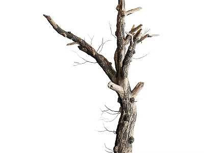Dry Tree Trunk With Bare Branches And Natural Wood Texture Isolated On White 3d model