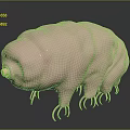Adorable Pink Tardigrade Creature with Numerous Tiny Legs and Smooth Body Texture 3d model