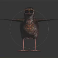 Modern bird robin bird traveling thrush Eurasian robin 3d model