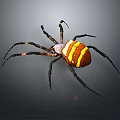 Spider with brown body yellow and white stripes and long black legs