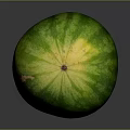 Whole Green Striped Watermelon on Gray Background for Fresh Fruit
