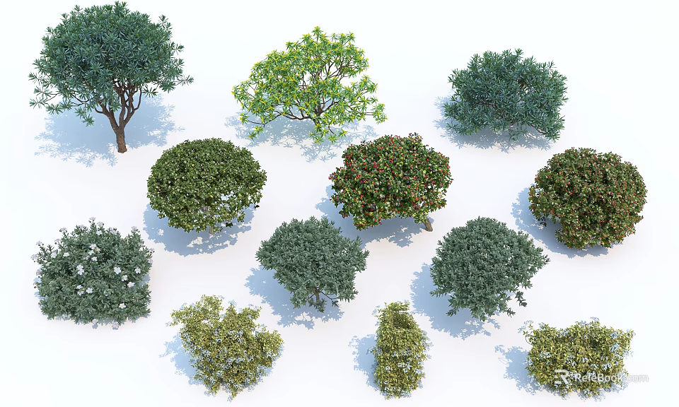 Various Green Shrubs with Diverse Shapes and Foliage for Landscaping Projects 3d model 