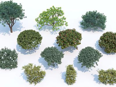 Various Green Shrubs with Diverse Shapes and Foliage for Landscaping Projects 3d model