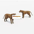 Two Brown Lions Standing With Open Mouths In Realistic 3D Rendering 3d model
