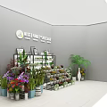 Bright Flower Shop With Colorful Bouquets Fresh Flowers Green Plants And Shelves