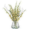 White Gladiolus Flowers Arrangement in Clear Glass Vase with Fresh Green Leaves