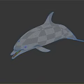 Realistic Silver 3D Dolphin Model With Glossy Surface And Reflection On Black Background 3d model