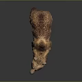 Realistic Brown Bear Model With Open Mouth And Thick Brown Fur Standing