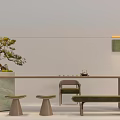 Modern Minimalist Tea Table and Chairs with Bonsai Plant and Tea Set in Interior