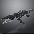 3D Ichthyosaur Model With Black and White Stripes Open Mouth Sharp Teeth Dark Reflective Background