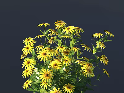 Beautiful Cluster Of Yellow Flowers With Green Leaves On Dark Background 3d model