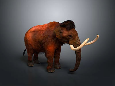 Red Fur Mammoth With Black Mane And Long White Tusks On Gray Background 3d model