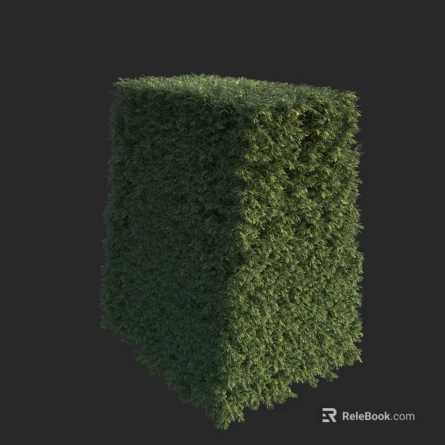 Trimmed Green Cube Shaped Hedge With Dense Lush Foliage In Garden 3d model 