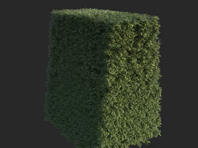Trimmed Green Cube Shaped Hedge With Dense Lush Foliage In Garden 3d model