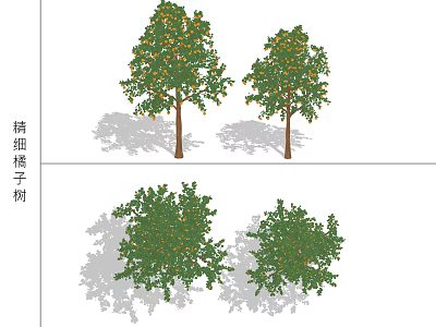 Modern Orange Tree 3d model