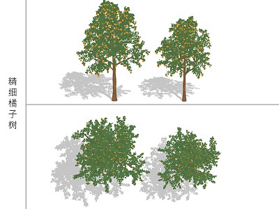 Modern Orange Tree model