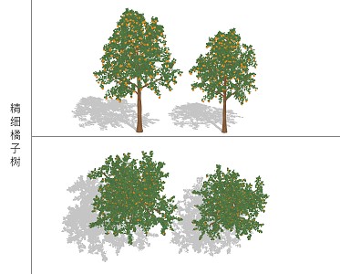 Modern Orange Tree 3d model