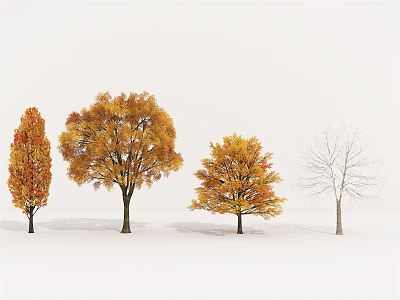 Modern Tree Plant Shrubs Autumn Winter Trees 3d model