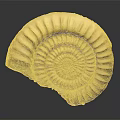 Ancient Marine Ammonite Fossil With Spiral Shape And Detailed Ridges On Dark Background