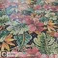 Colorful Mosaic Floor Tiles With Tropical Flower And Leaf Patterns In Vibrant Hues