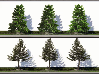 Different Types Of Trees In Outdoor Landscape With White Wall Background And Shadow Effects 3d model