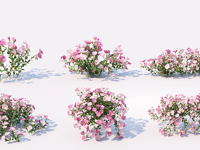 Pink And White Flowers With Green Leaves In Potted Floral Arrangements On White Background 3d model