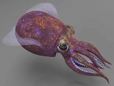 Vibrant Purple Orange Squid With Transparent Membrane And Long Tentacles Featuring Distinctive Eyes 3d model