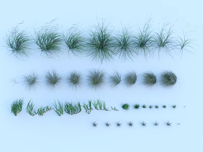 Diverse Herb And Grass Varieties Display With Multiple Shapes And Textures 3d model