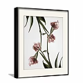Three Framed Botanical Paintings with Pink Flowers and Green Leaves on Gray Wall