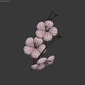 Blooming Pink Flower Plant With Slender Branch And Large Petals On Dark Background