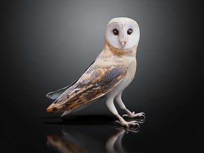 Modern Owl Eagle Owl 3d model