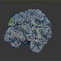 Coral Polyps Marine Life Formation With Intricate Texture In Ocean Environment