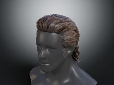 Realistic Human Head 3D Model With Brown Textured Layered Hair Styling 3d model