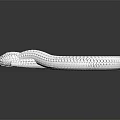 White Textured Coiled Reptile Shaped 3D Model With Reflection On Black Surface 3d model