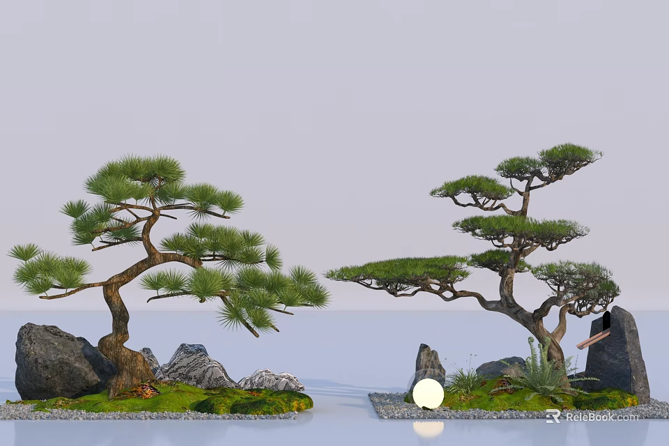 Serene Pine Trees In Japanese Zen Rock Garden With Stones Water And Small Light 3d model 