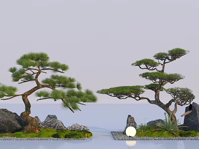 Serene Pine Trees In Japanese Zen Rock Garden With Stones Water And Small Light 3d model