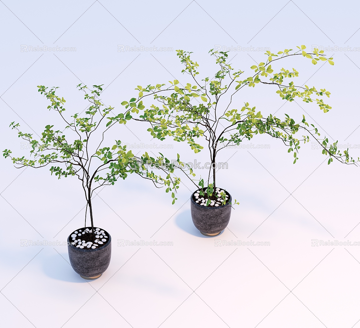 potted plants potted plants model