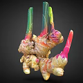 Colorful Ginger Vegetable With Green Red Pink Stems And Rhizome Parts