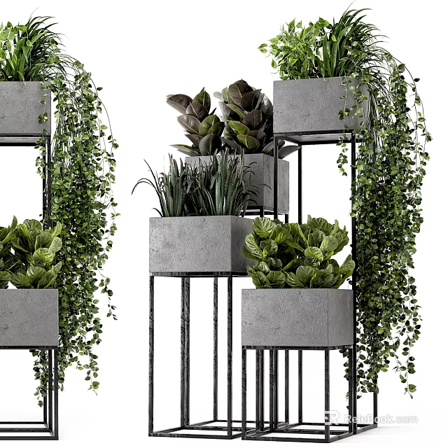 Modern Decorative Plant Set With Concrete Pots Metal Stands And Green Plants 3d model 