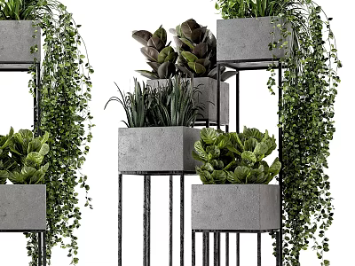 Modern Decorative Plant Set With Concrete Pots Metal Stands And Green Plants 3d model